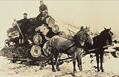 a horse pulling a wagon full of logs