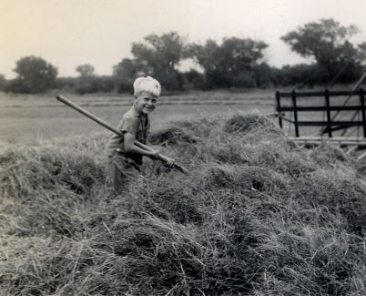 A black-and-white photo of a young Charles Koch in work clothes using a pitchfork to manage a pile of hay.