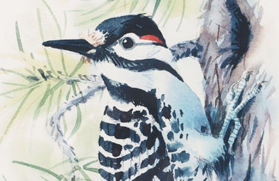 a watercolor of a bird