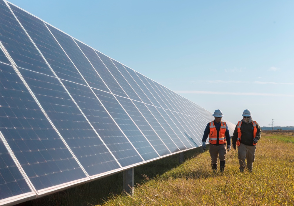 two men walking in a field with solar panels
