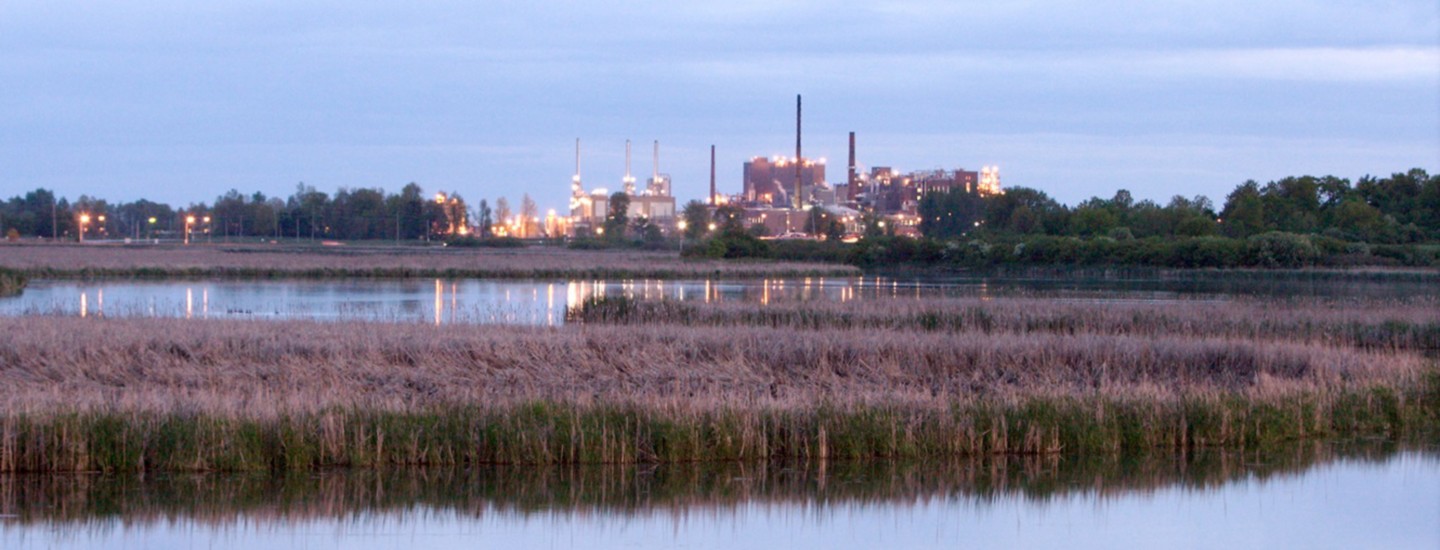 a water body with plants and a city in the background