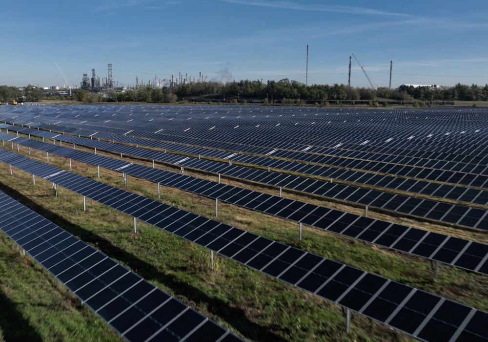 a field of solar panels
