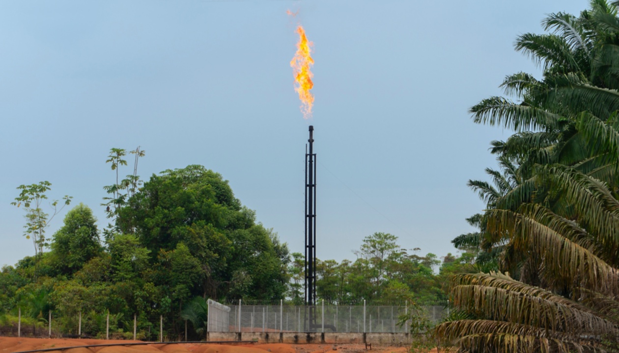 Front view of tower of a natural gas well in production burning gas on top in the middle of the jungle