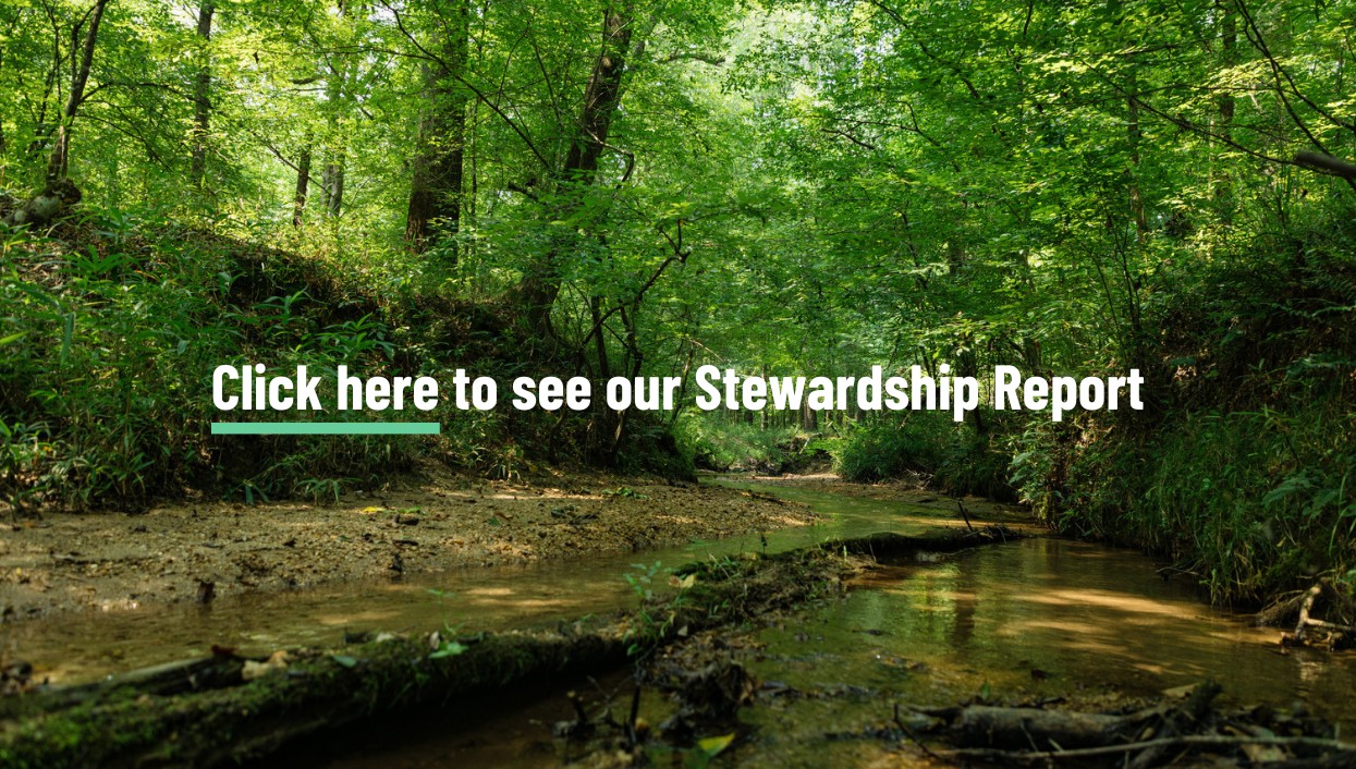 Image of a creek in a forest that reads Click here to see our Stewardship Report. There is a link to the report. 