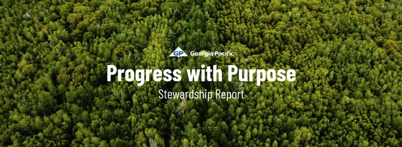 Explore Georgia-pacific's Dynamic 2023 Stewardship Report 