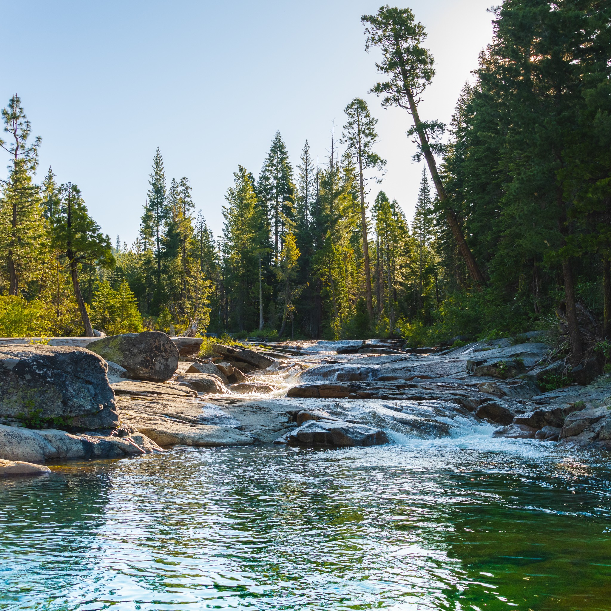 Image of trees and a rolling river.