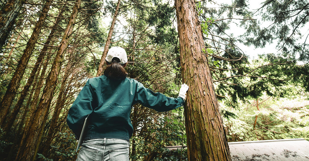 a person in a white helmet touching a tree