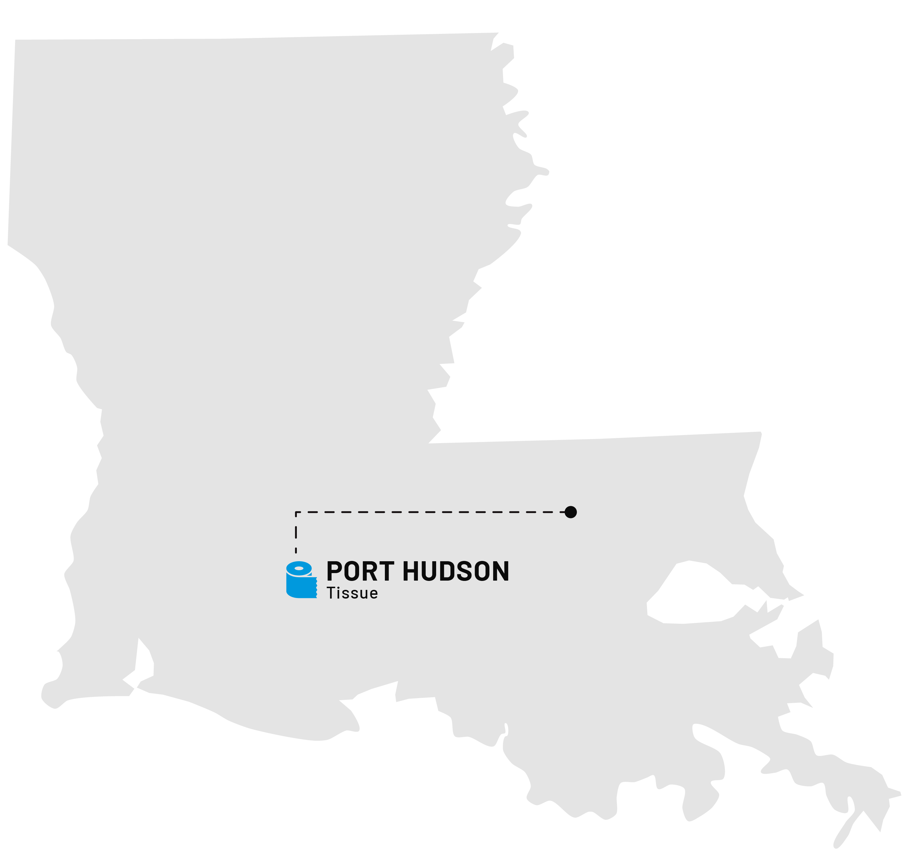 a map of the state of louisiana