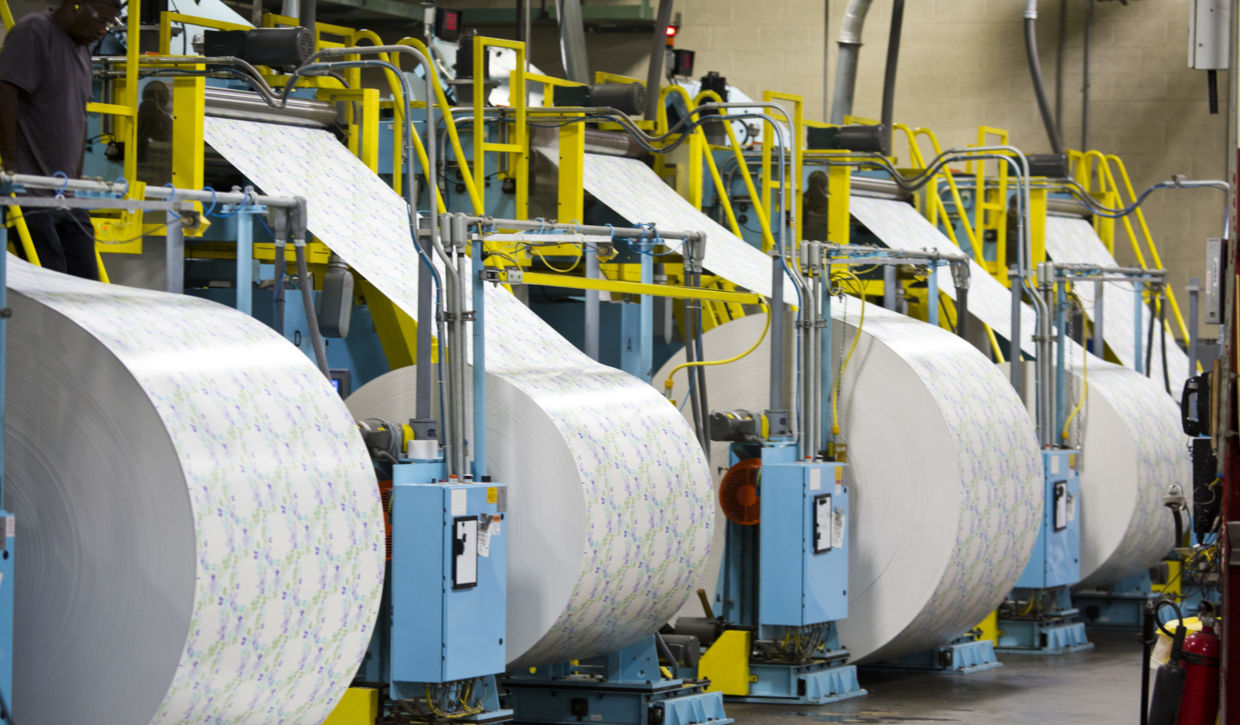 Five freshly printed rolls are sent to the forming press prior to transforming into final Dixie® products.