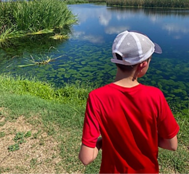 A young boy in a red shirt and white cap stands at the edge of a calm lake. Tall green reeds and grasses line the shoreline, with patches of aquatic plants visible in the clear water. The scene is set under a bright blue sky filled with scattered white clouds, suggesting a warm, sunny day outdoors. The overall mood is peaceful and relaxed, capturing a quiet moment in nature.