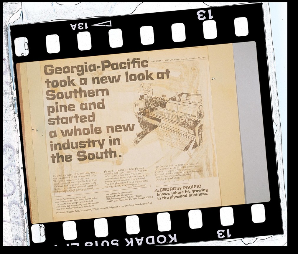 Innovation w/Southern Yellow Pine 